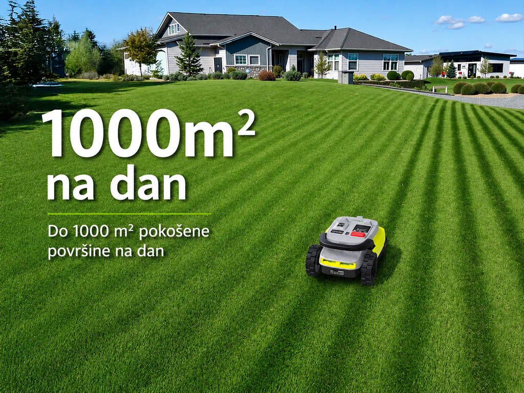 29C2E17F-D410-4AF6-B67C-8C6A535CCB54.webp